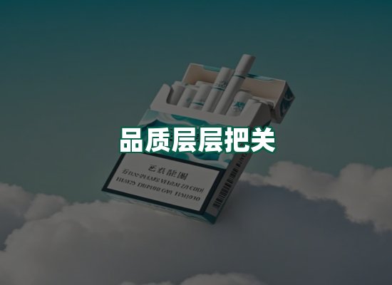 核心优势